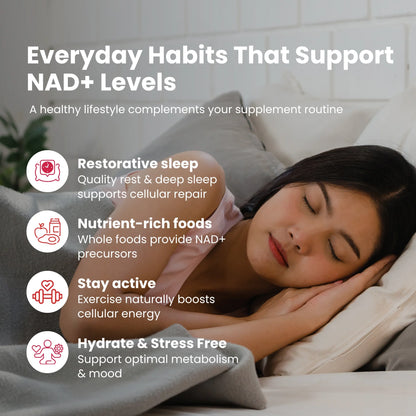 NAD Revive + Immune – Sustained NAD+ Release for Immunity & Vitality